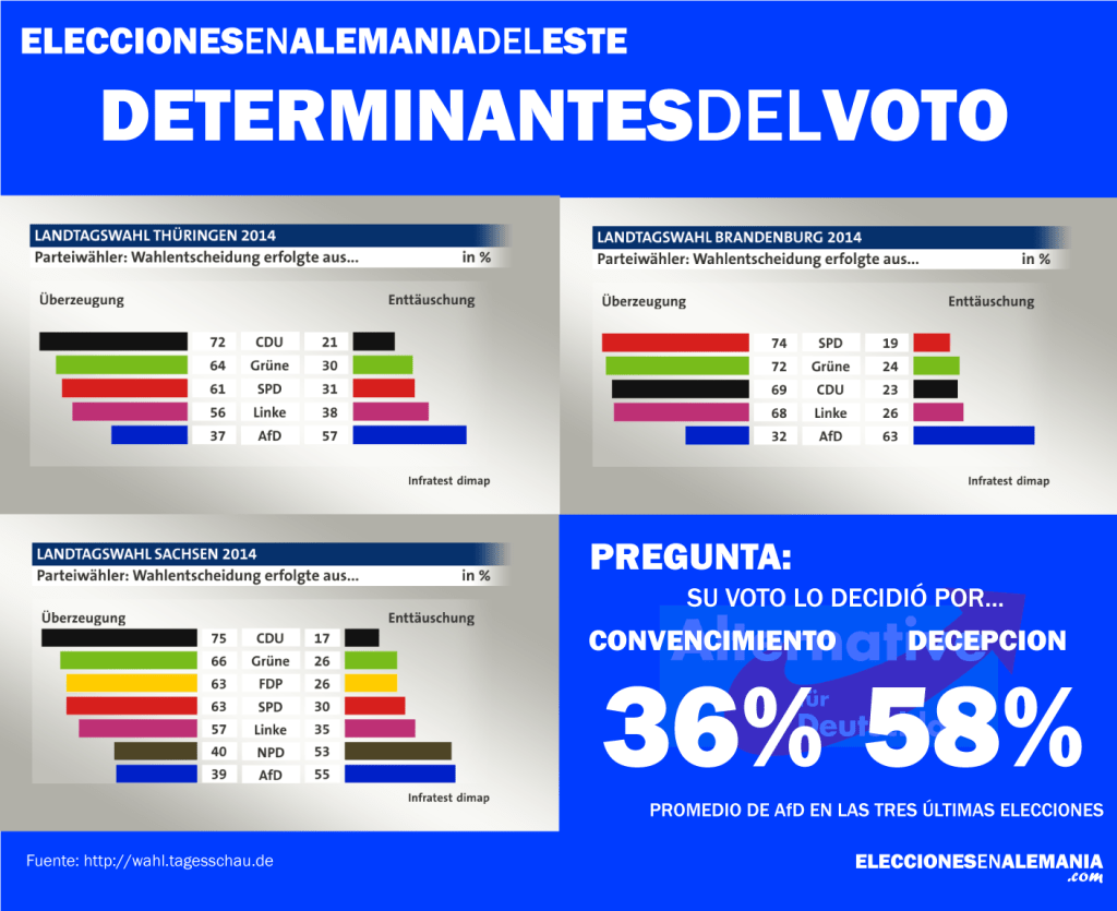 determinante voto afd europa euroesceptico alemania