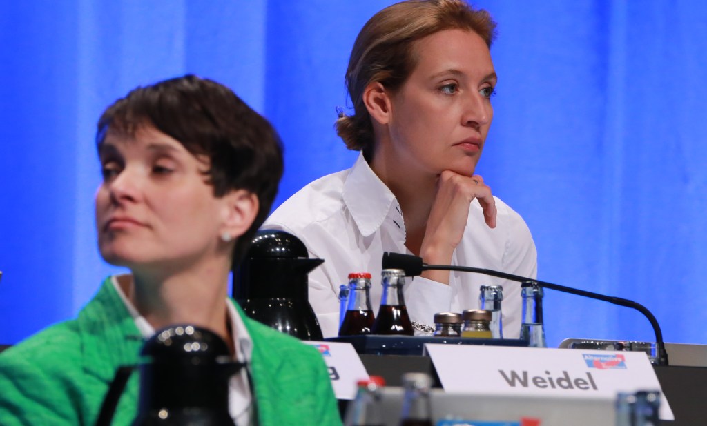 Empresaria, madre, lesbiana: Alice Weidel, la nueva candidata de la&nbsp;ultraderecha