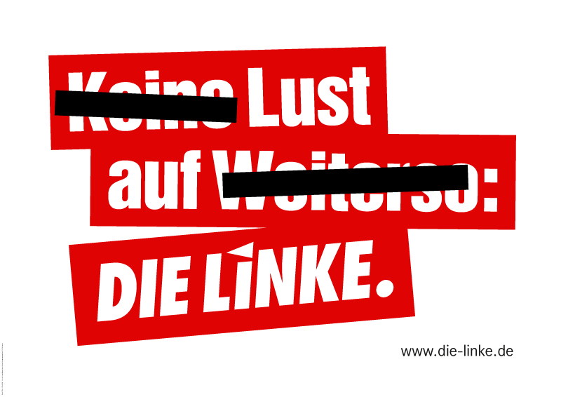 linke_btw17_grossflaeche1_800x566px